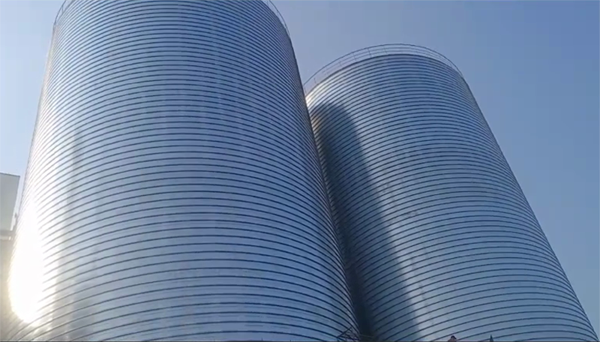 德宏2座混凝土高架卷板仓